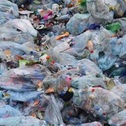 It is essential to regulate the recycling chain of plastic packaging waste