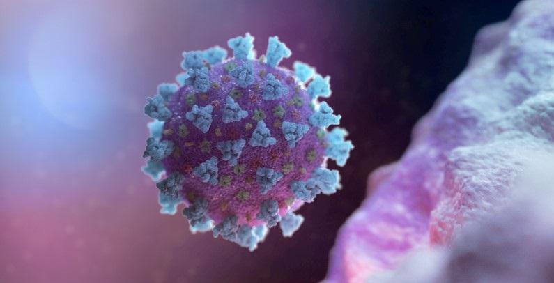 A 3D illustration of the new Coronavirus