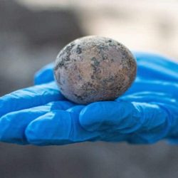 Archaeologists crack an egg that was intact 1,000 years ago