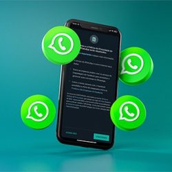 invisible!  WhatsApp Beta removes internet status and last visa from business accounts