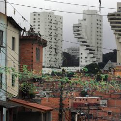 Brazil is the country that lost the most number of millionaires in 2020 – Economy