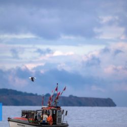 Brexit: Brussels and London reach preliminary agreement on fisheries