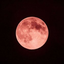 “Moon Strawberry” will take place on Thursday (24);  Check out the tips for the last supermoon in 2021 – science