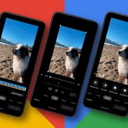 With a new look: Google Photos receives a design based on the materials you’re using from Android 12 and the new widget