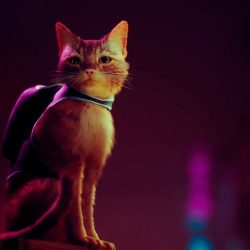 Stray: The game that pits you against a cat that wins the game play and arrives in 2022