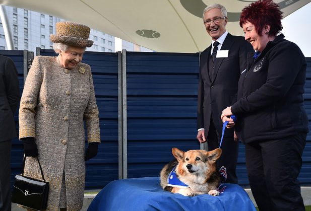 The Queen and Duke of Edinburgh visit the Battersea House of Dogs and Cats