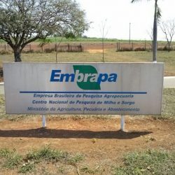 The Embrapa Scientific Publications Portal is accessed in the US – Economy