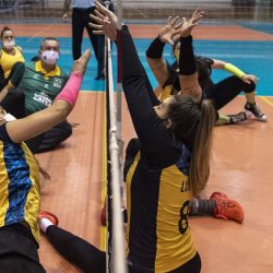 Paralympics: Learn more about volleyball seating in Tokyo 2020