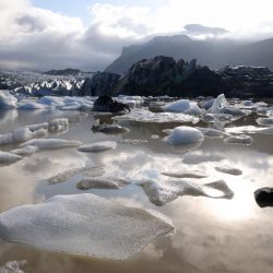 Controversial terms of the climate emergency