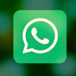 How to Download WhatsApp Beta on Mobile (Android and iOS)