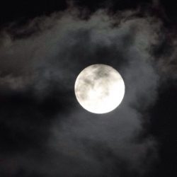 Seasonal Blue Moon: Understanding the Rare Phenomenon That Will Happen on Sunday – 08/19/2021