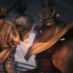 Sekiro: Full player blindfolded fast racing