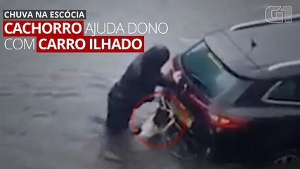 Video: Owner dog 'helps' to push car into flood in Scotland