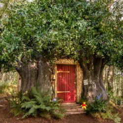 Winnie the Pooh wooden house for rent in the UK;  See photos International Destinations