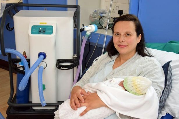 Gajah uses new device to give birth to his daughter (Photo: Reproduction / Glass)