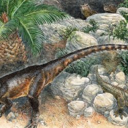 The oldest carnivorous dinosaur in England, identified by ancient scientists