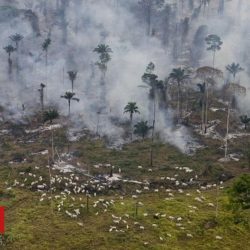 COP26: Unlike the world, Brazil has seen an increase in carbon dioxide emissions in a year of the epidemic