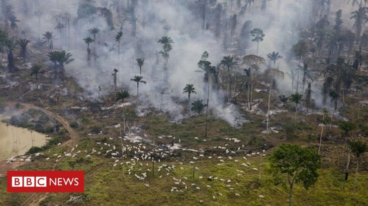 COP26: Unlike the world, Brazil has seen an increase in carbon dioxide emissions in a year of the epidemic