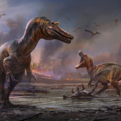 Mysterious fossils reveal two new species of spinosaur in the UK – science