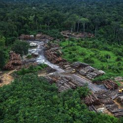 Countries threaten to ban Brazilian products due to deforestation in the Amazon |  Economie