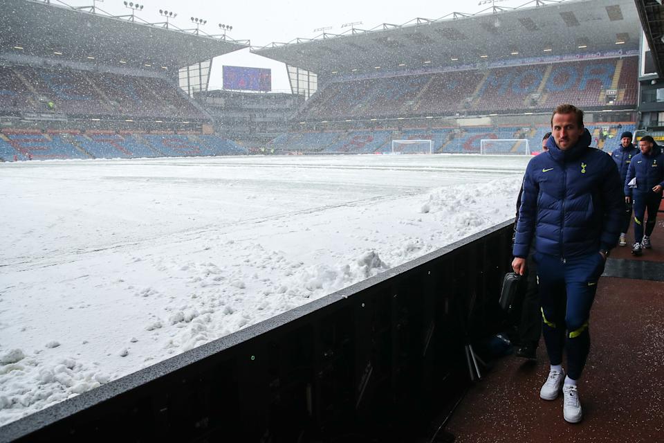 Harry Kane was influenced by the story of the Tottenham fans.  Photo: Robbie Jay Barratt - AMA / Getty Images