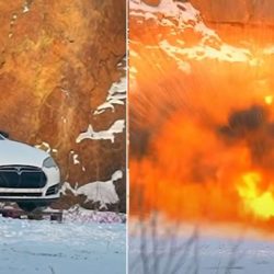 A man blows up a Tesla after discovering the value of the repair