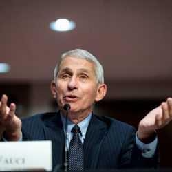 Fauci says US COVID-19 testing shortage must be addressed