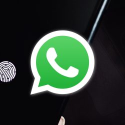 WhatsApp adds new processes to online and last seen status for increased privacy