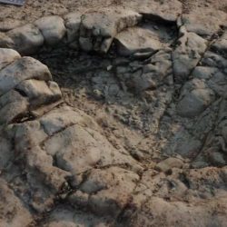 200 million year old dinosaur footprints have been found in the UK