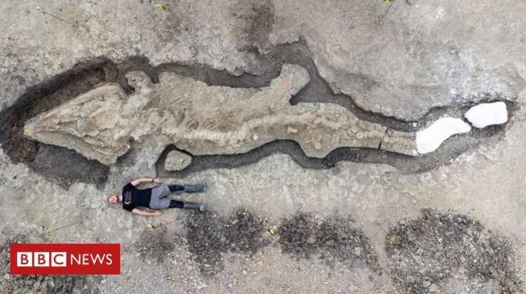 Image of a ‘giant sea dragon’ found in England