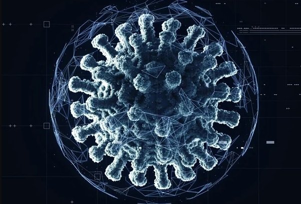 In the color illustration, different viruses are represented