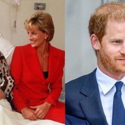 Prince Harry wants to continue his mother’s important legacy;  know which