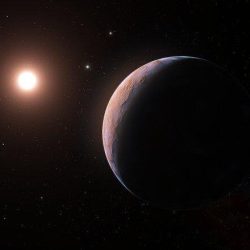 #AstroMiniBR: A ​​new planet in Proxima Centauri!