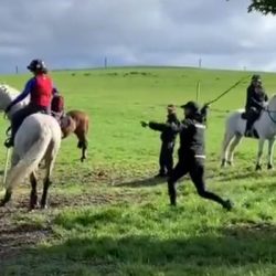 Two-time Olympic equestrian champion England has been suspended for hitting a horse in training