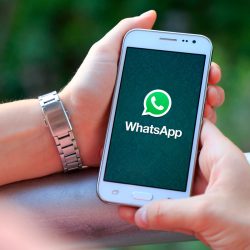 WhatsApp will fulfill the old request of app users: find out which is which