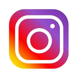 Instagram: favorite feed and in reverse chronological order;  Check the news