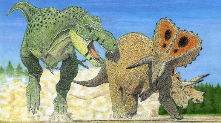 The study suggests that Tyrannosaurus Rex may have been three different species