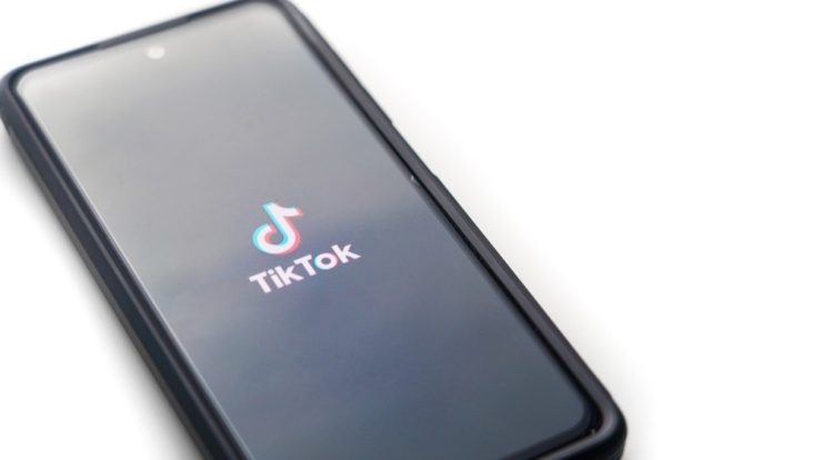 TikTok has become an important medium for scholarly publishing