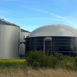 Wants to invest in UK biomass