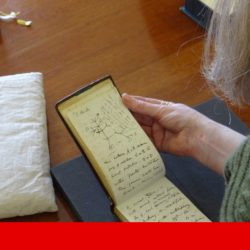 “Librarian Happy Easter”: Darwin’s Lost Notebooks Reappear |  United Kingdom