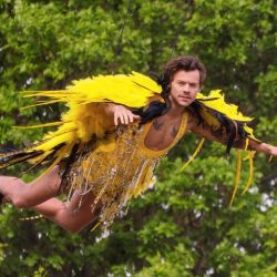 Harry Styles flies over the UK in Canary costume