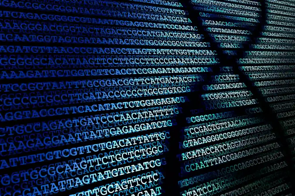 DNA and RNA are made up of five nuclear bases: adenine, guanine, cytosine, thymine and uracil.