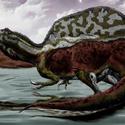 Fossil of Europe’s largest predatory dinosaur discovered in England