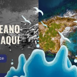 In Environment and Ocean Month, residents are invited to run for the sustainability and health of the seas – Jornal do Oeste