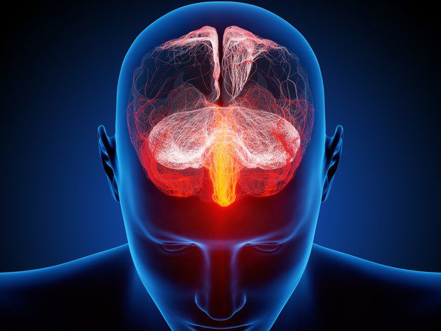 The human brain is much hotter than the rest of the body (Photo: Studio Ra 2 - Fotolia.com/Flickr)