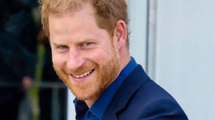 Prince Harry has won the right to challenge the UK government over his police protection