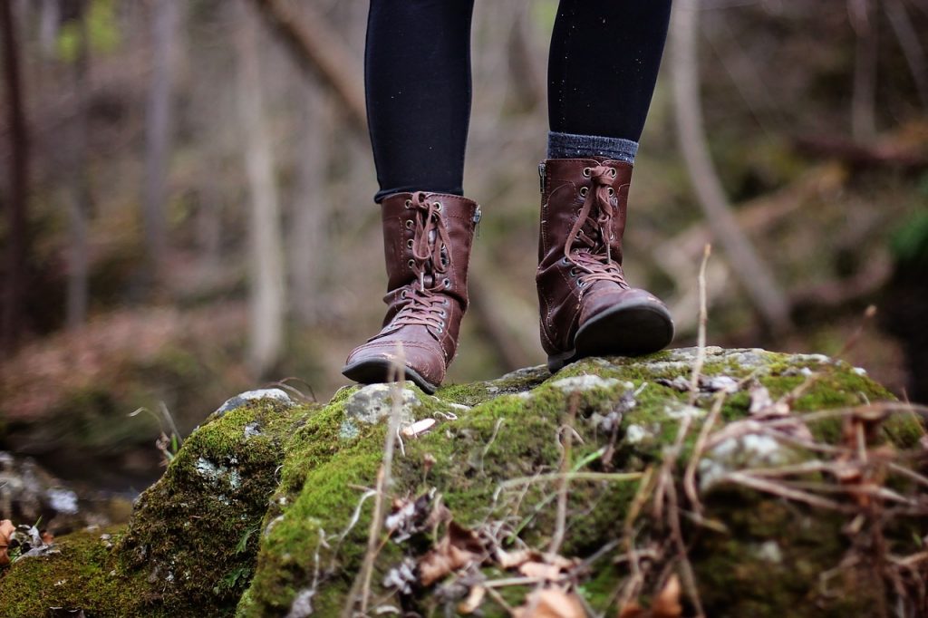 Forest Health Walk