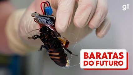 Japanese Scientists Create Cyborg Cockroaches to Help Disasters