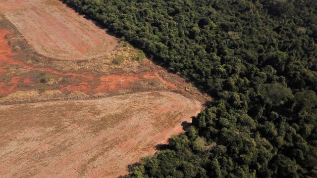 The image shows deforestation near a forest on the border between the Amazon and the Cerrado in Nova Zavantina, Mato Grosso